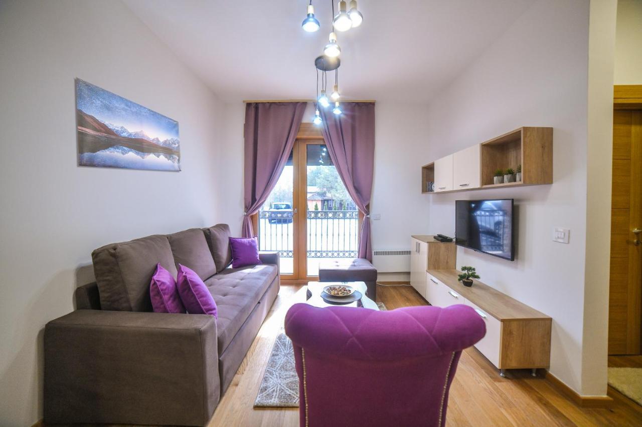 Vila Elsa Apartmani Kosta Todorovic Zlatibor Bagian luar foto